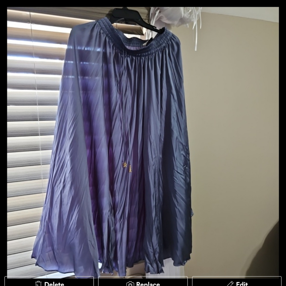 NWT ZARA Pleated Maxi Skirt
